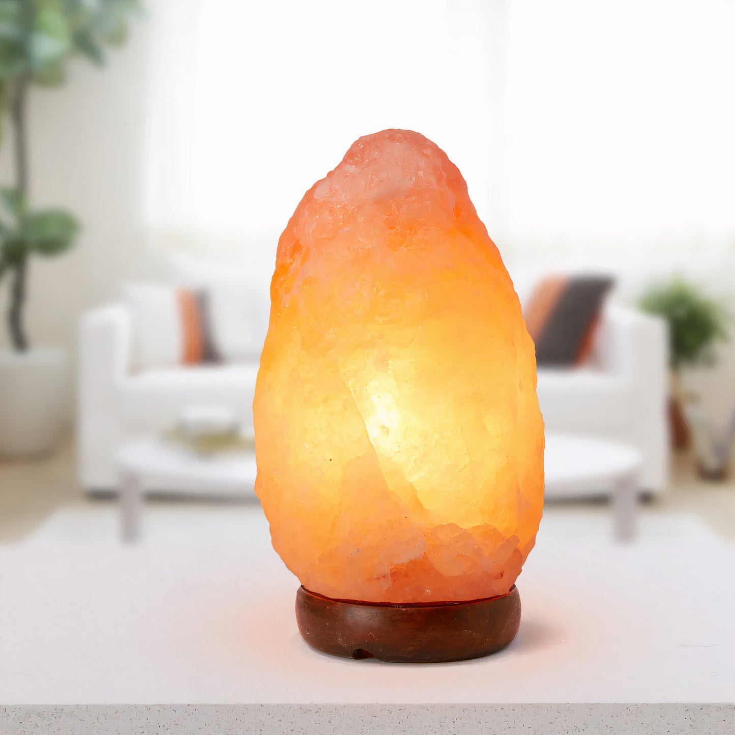 Himalayan Salt Lamp